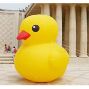 inflatable duck boat